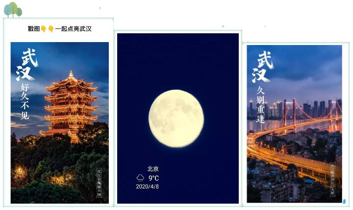 云科普明明随笔—公益花开季春月，最美人间四月天